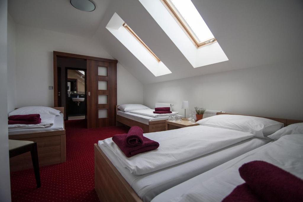 Hotel Krusnohorsky Dvur Cínovec Room photo